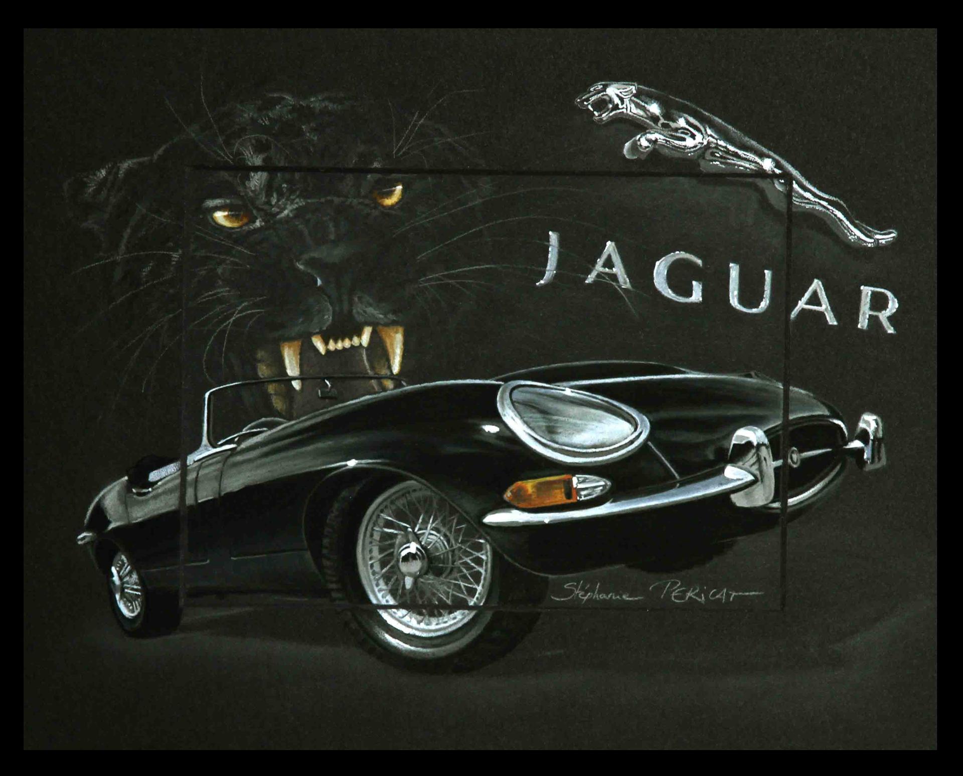 Jaguar Type E - 20 x 30 cm